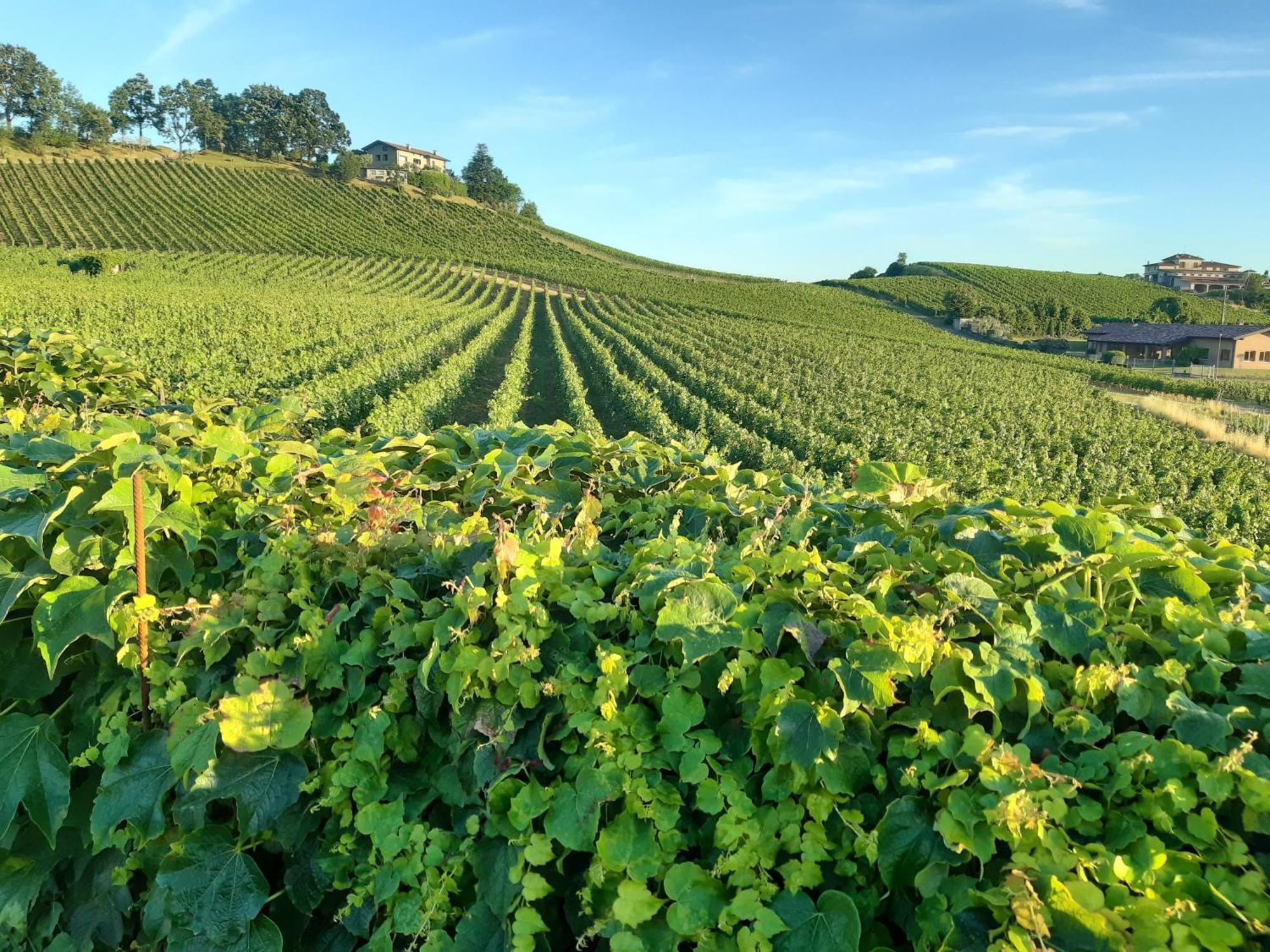 Appartamento Franciacorta Cazzago San Martino Exterior photo